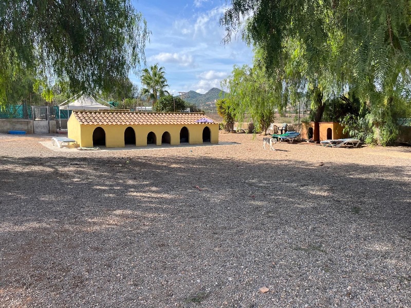 01 IMG 20251103 WA0044