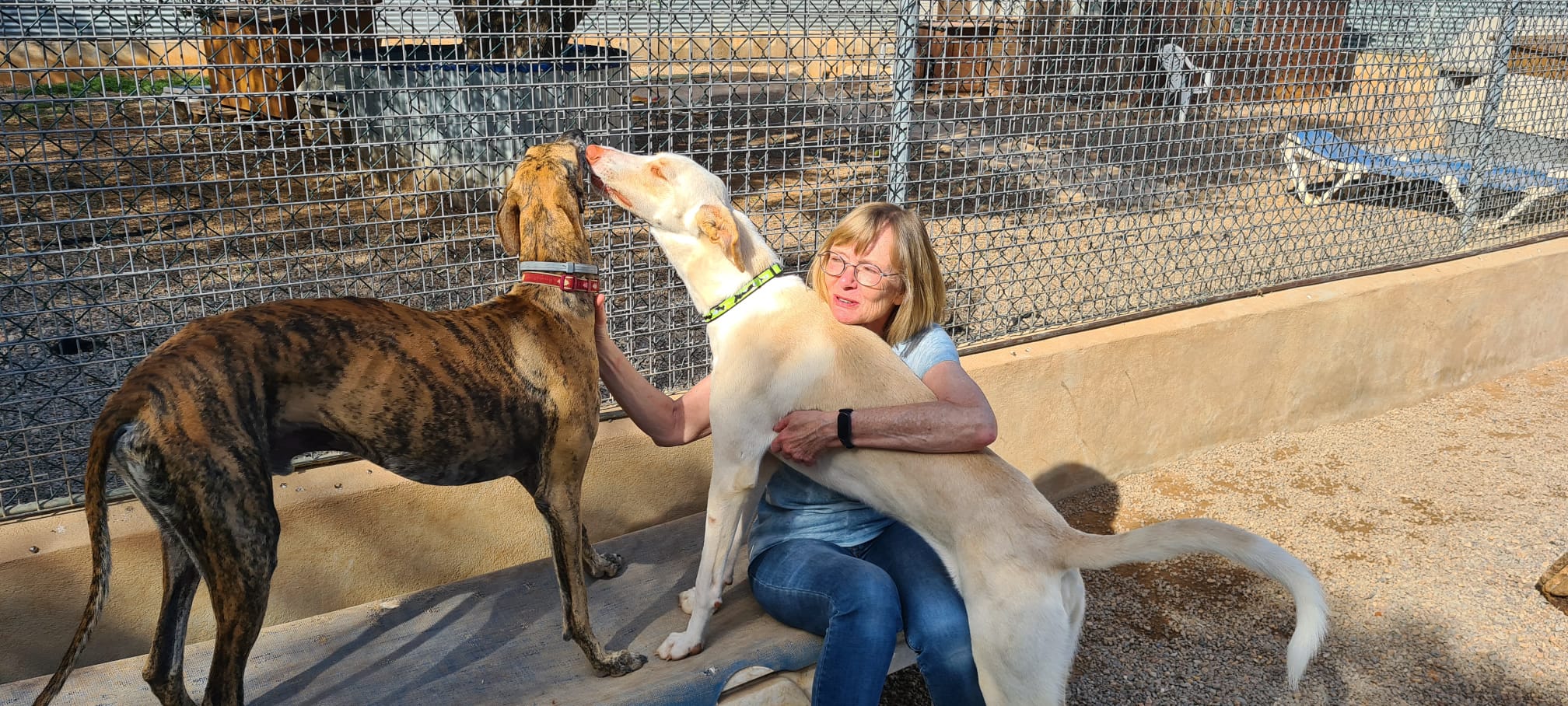 02 IMG 20251020 WA0019