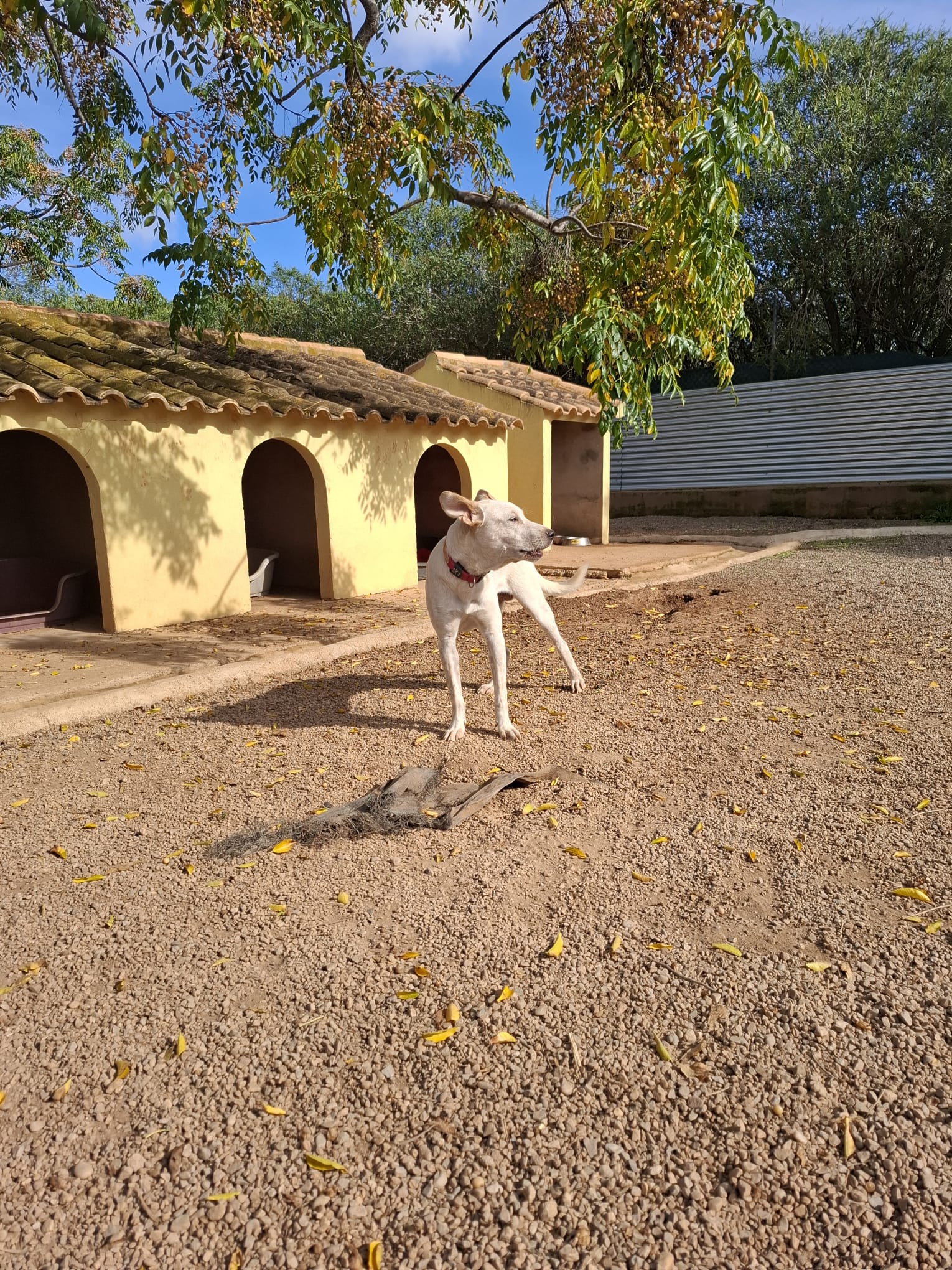 08 IMG 20251020 WA0028