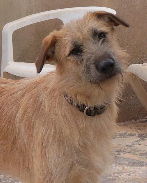 Marcos