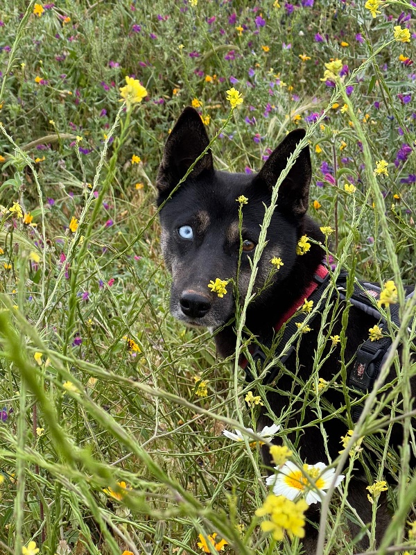 Luna