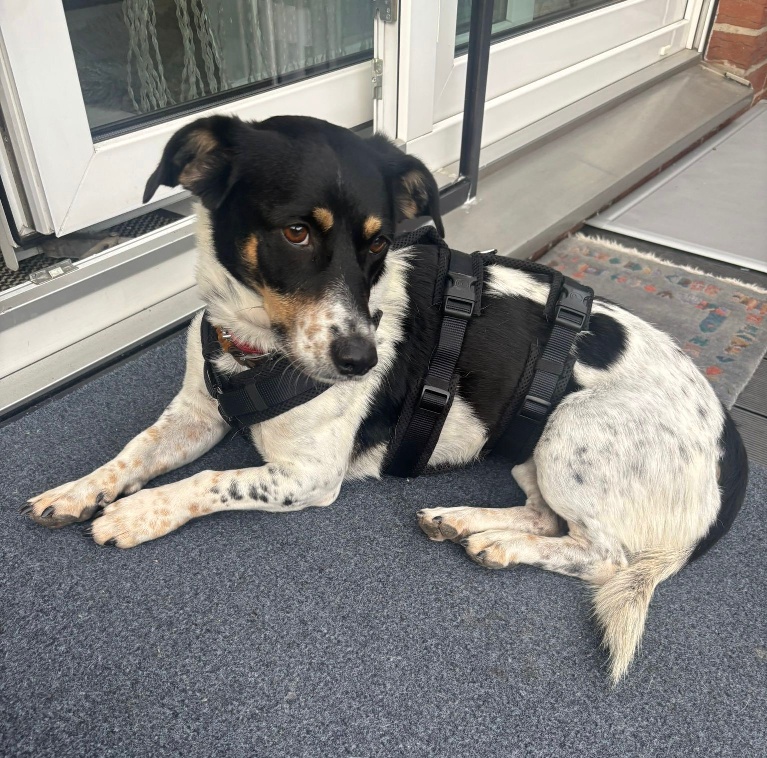 01 IMG 20251027 WA0056