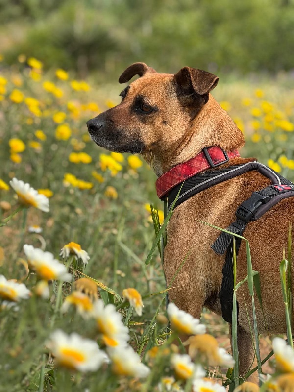 03 FB IMG 1758814363978