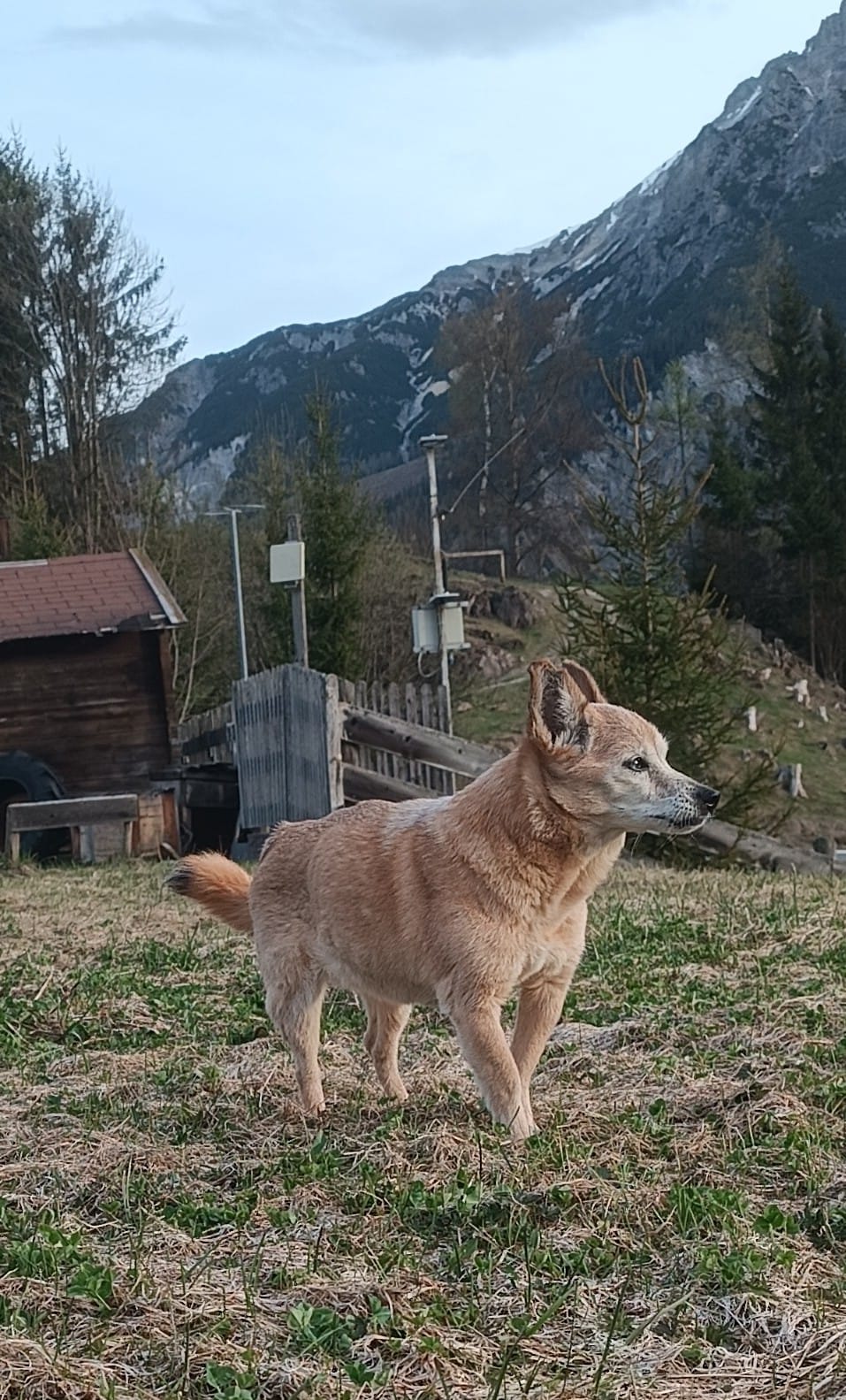 Foto 4
