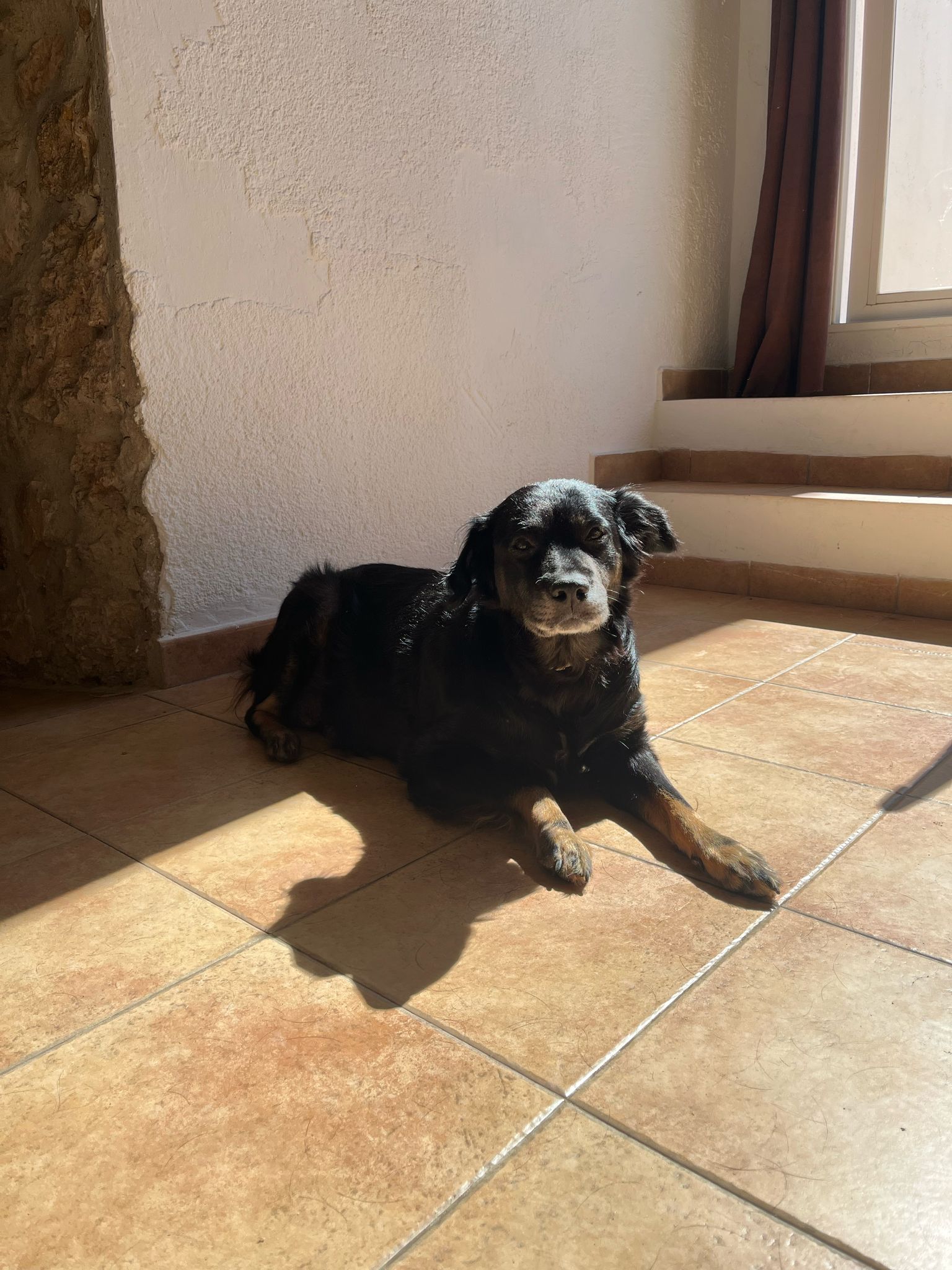 03 IMG 20250326 WA0000