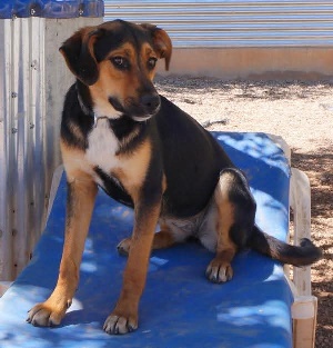 05 FB IMG 1750250184048