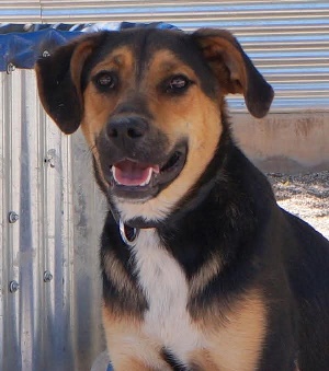 06 FB IMG 1750250189187