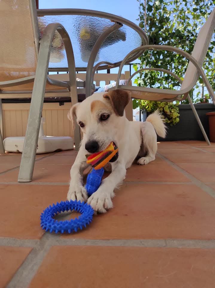 Luna 2