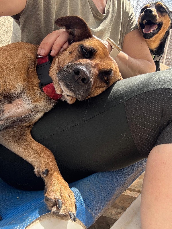 02 IMG 20250504 WA0025