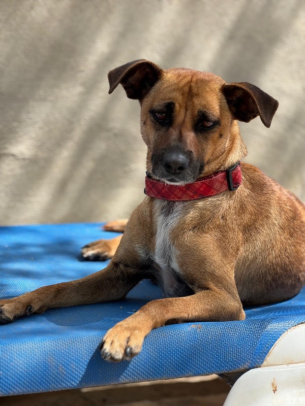 04 IMG 20250504 WA0032