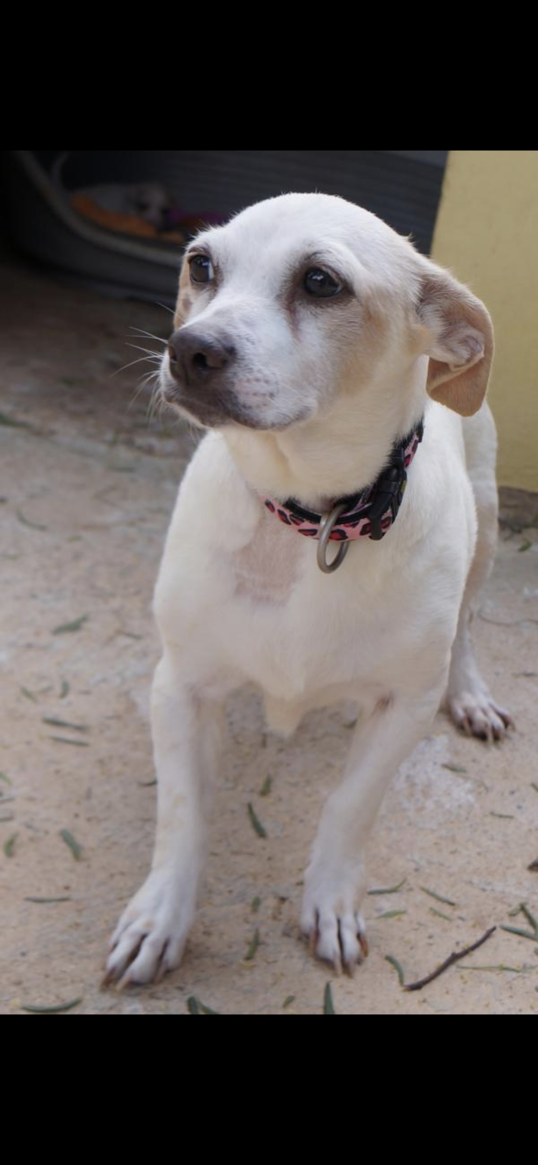 Screenshot 20251026 114005 Gallery