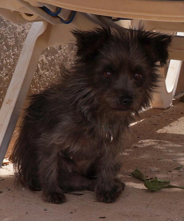 Rosie 1 am 25.08.2026