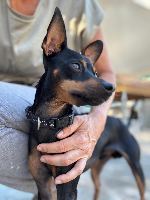 01 IMG 20251102 WA0017