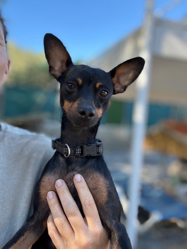 04 IMG 20251102 WA0012