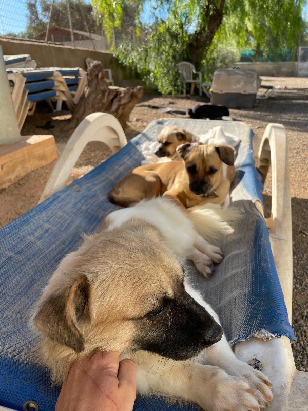 01 IMG 20251129 WA0017