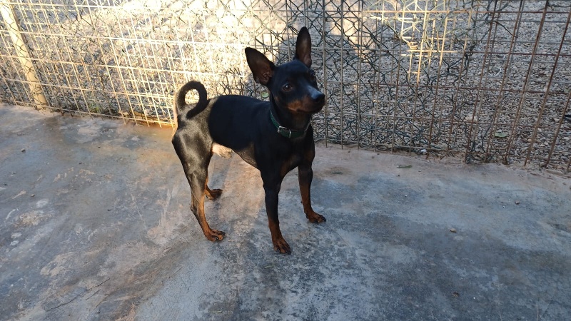 02 IMG 20251201 WA0030