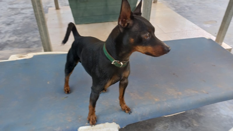 12 IMG 20251201 WA0016