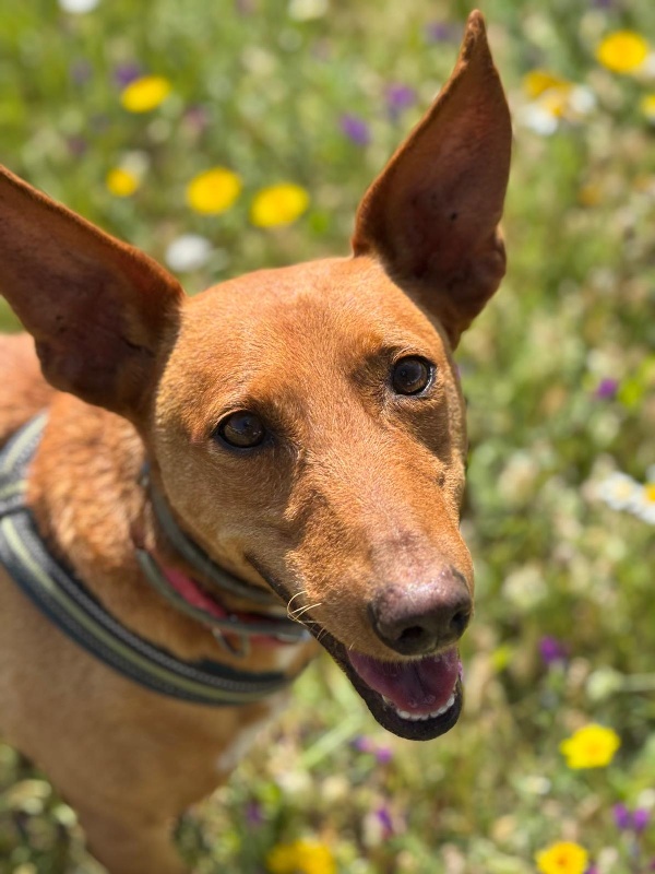 01 IMG 20250511 WA0121