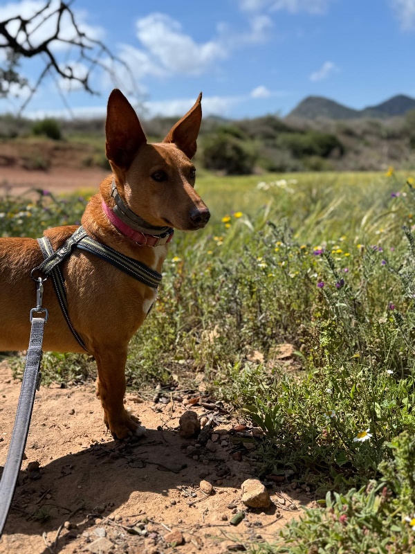 02 IMG 20250511 WA0120