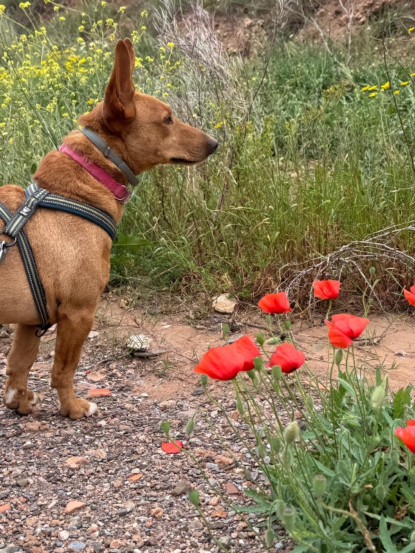 03 IMG 20250511 WA0118