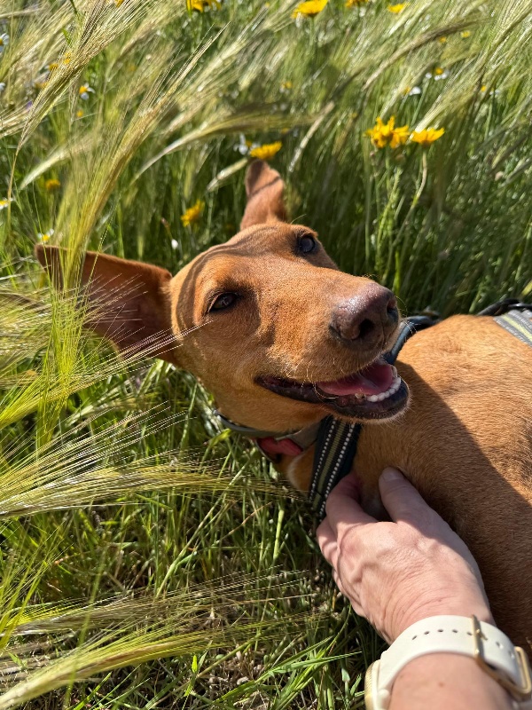 04 IMG 20250511 WA0099