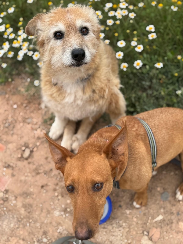 05 IMG 20250511 WA0079