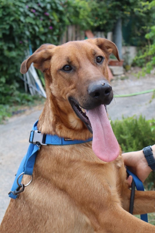 07 FB IMG 1751273379439