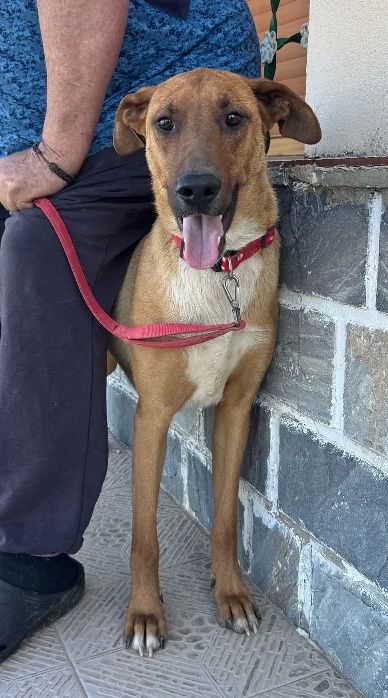 01 FB IMG 1751274296169