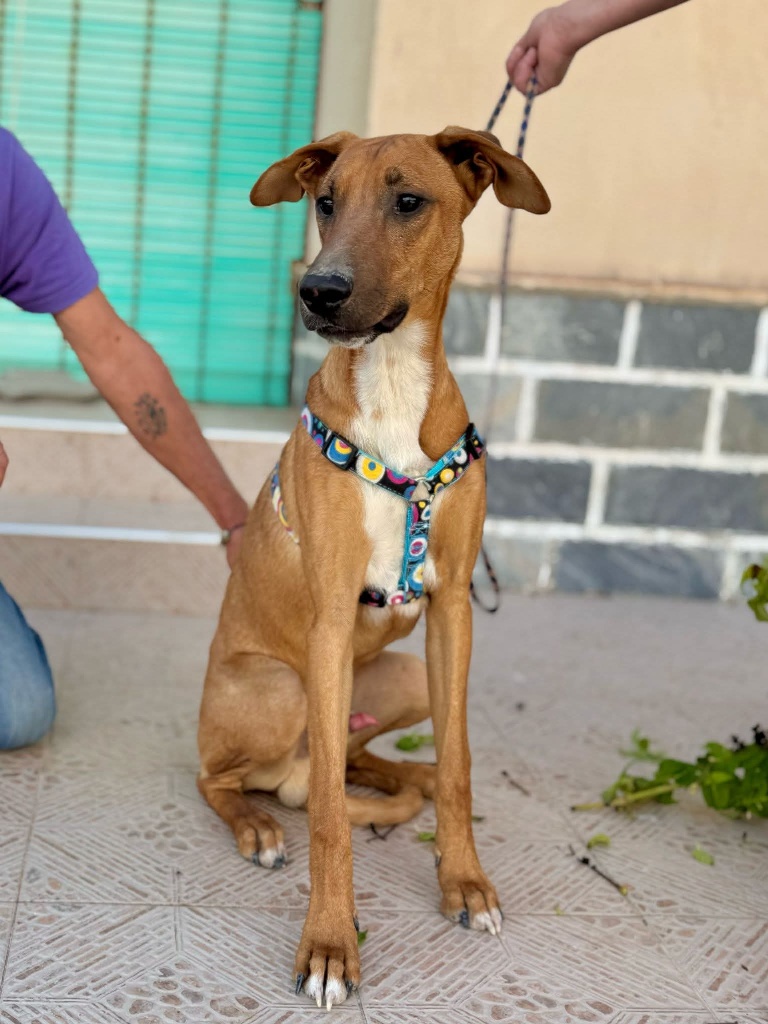 02 FB IMG 1751274291568