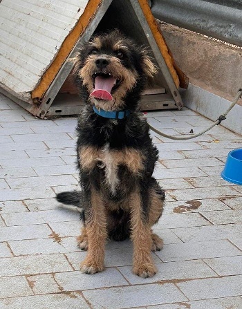 01 IMG 20250910 WA0008