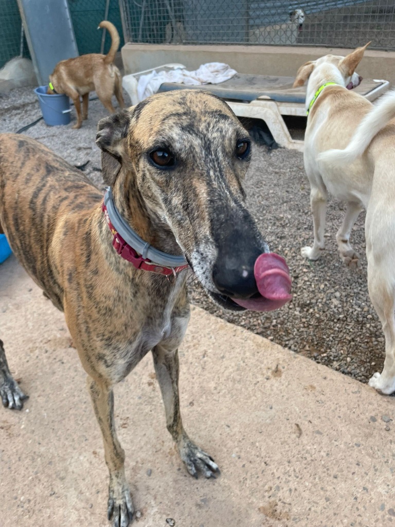 01 IMG 20251014 WA0024