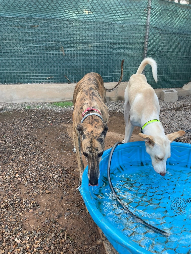 02 IMG 20251014 WA0021