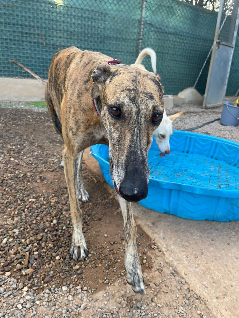 03 IMG 20251014 WA0020