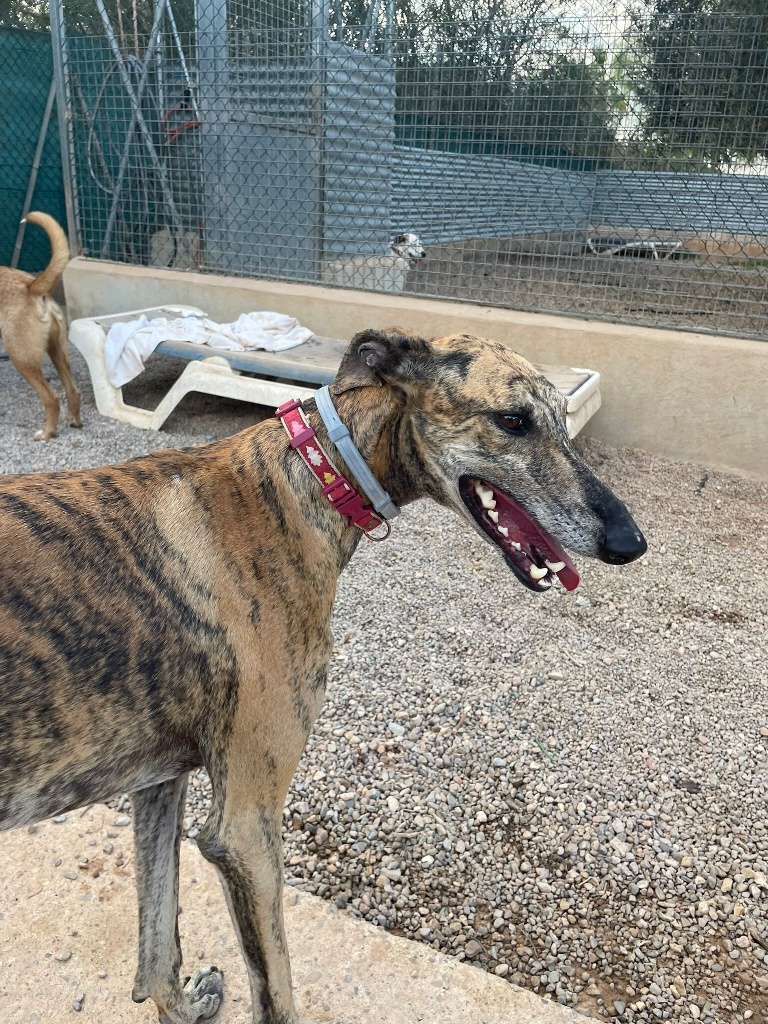 04 IMG 20251014 WA0017