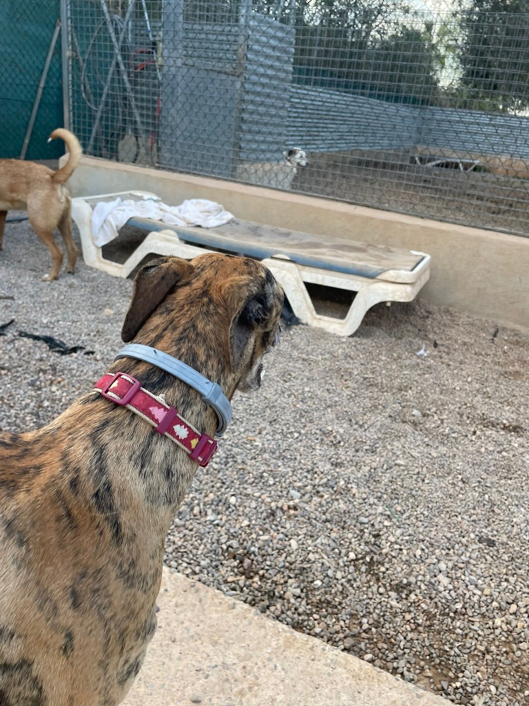 05 IMG 20251014 WA0019