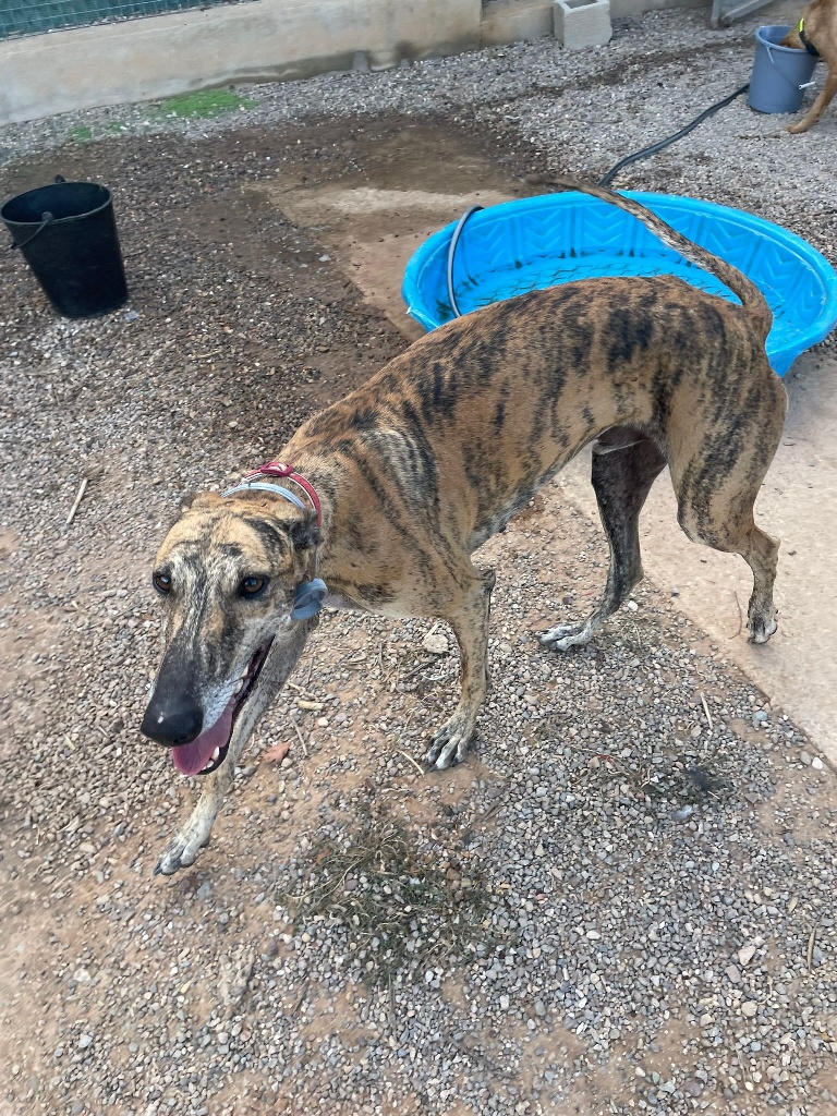 06 IMG 20251014 WA0010