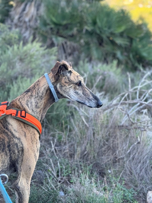 08 IMG 20251113 WA0027