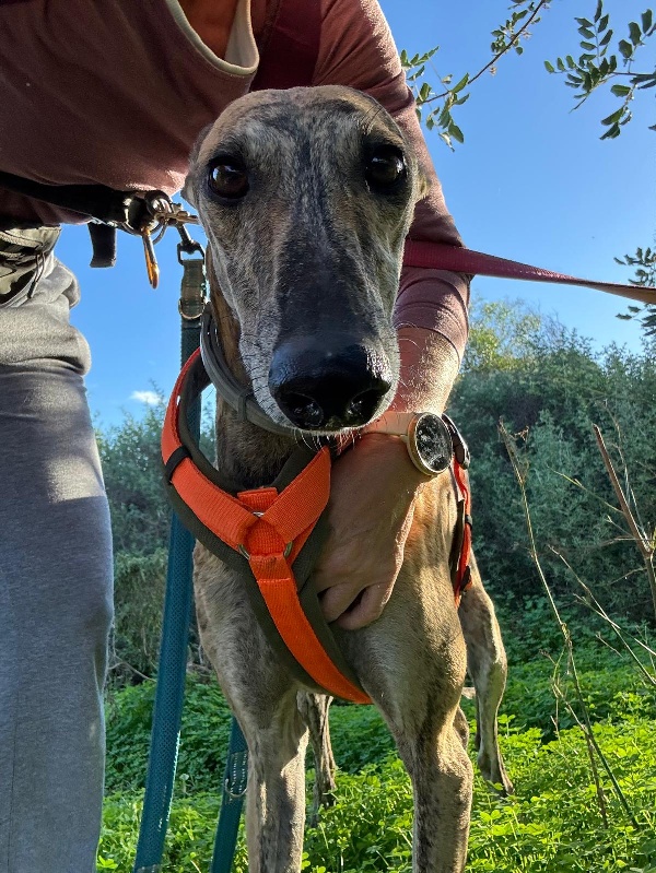 09 IMG 20251113 WA0026