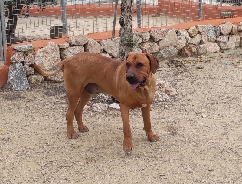 02 IMG 20250320 WA0021