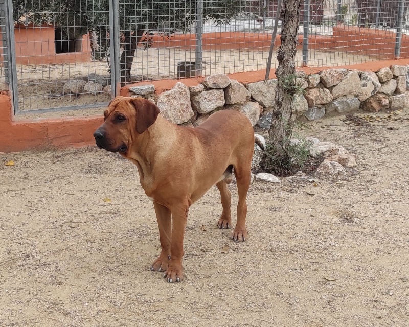 05 IMG 20250320 WA0017