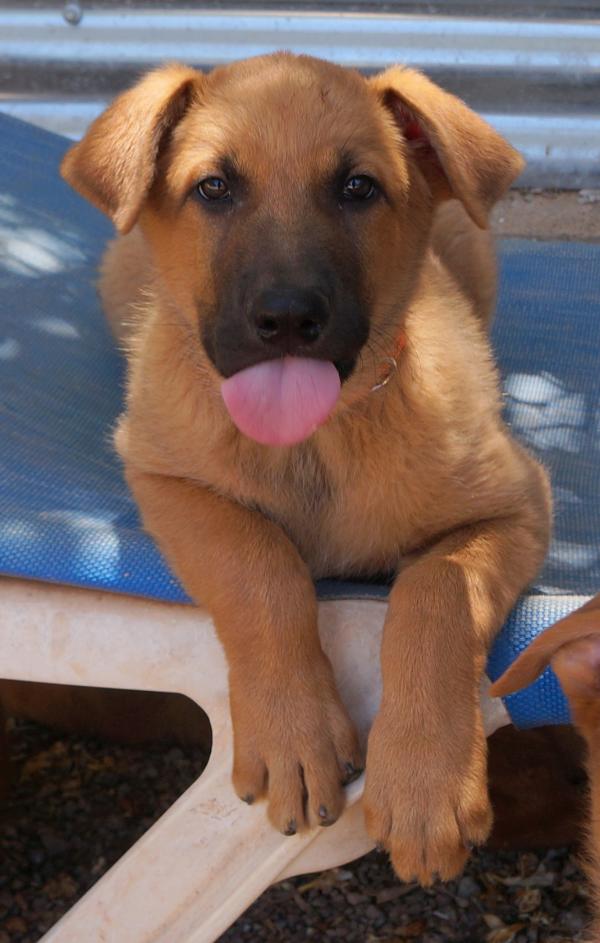 Ares 3