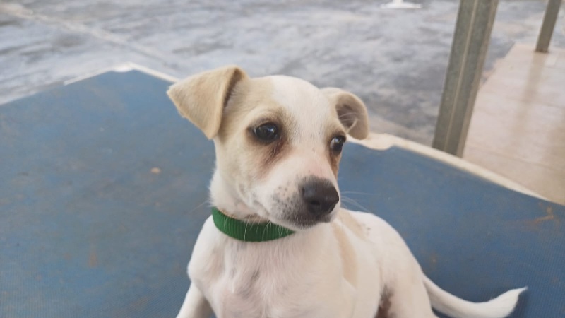 08 IMG 20251130 WA0053