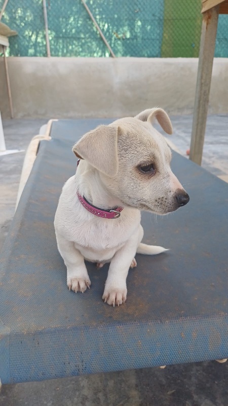 01 IMG 20251130 WA0046