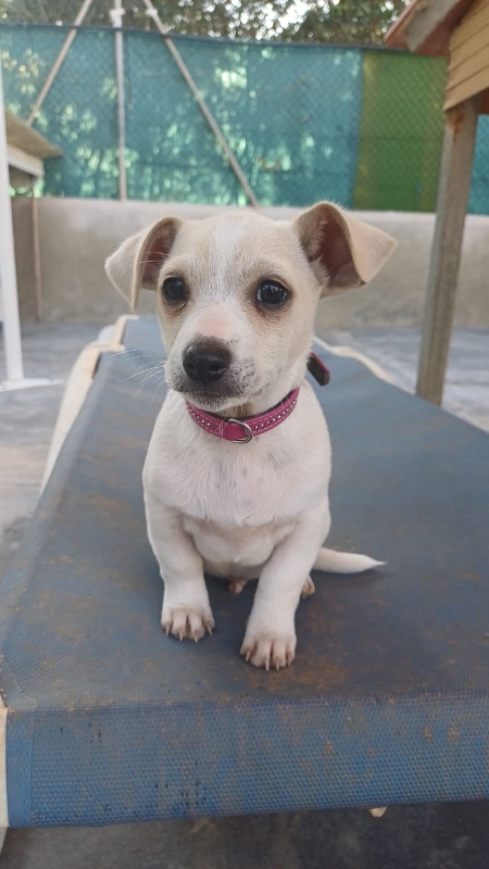 03 IMG 20251130 WA0044