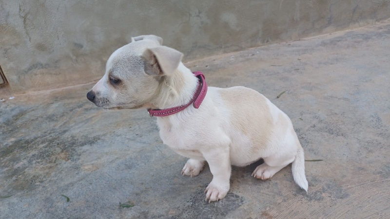 08 IMG 20251130 WA0037