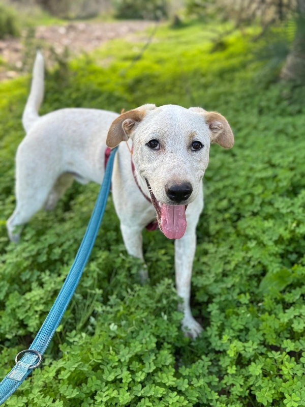 01 IMG 20251110 WA0035