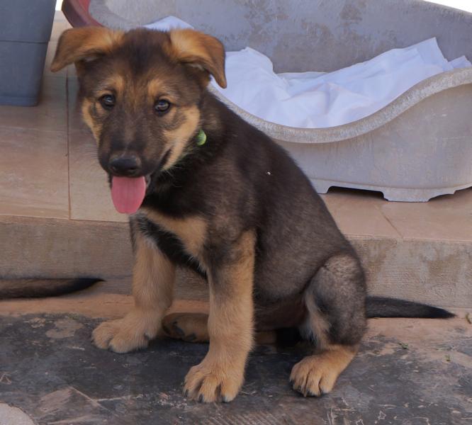 Thor 1 am 15.05.2026