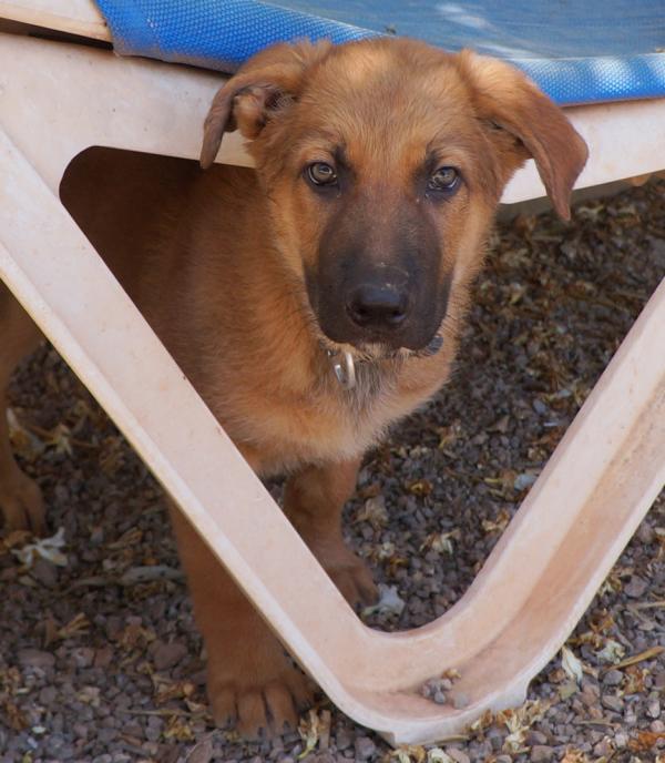 Thor 1 am 16.06.2026